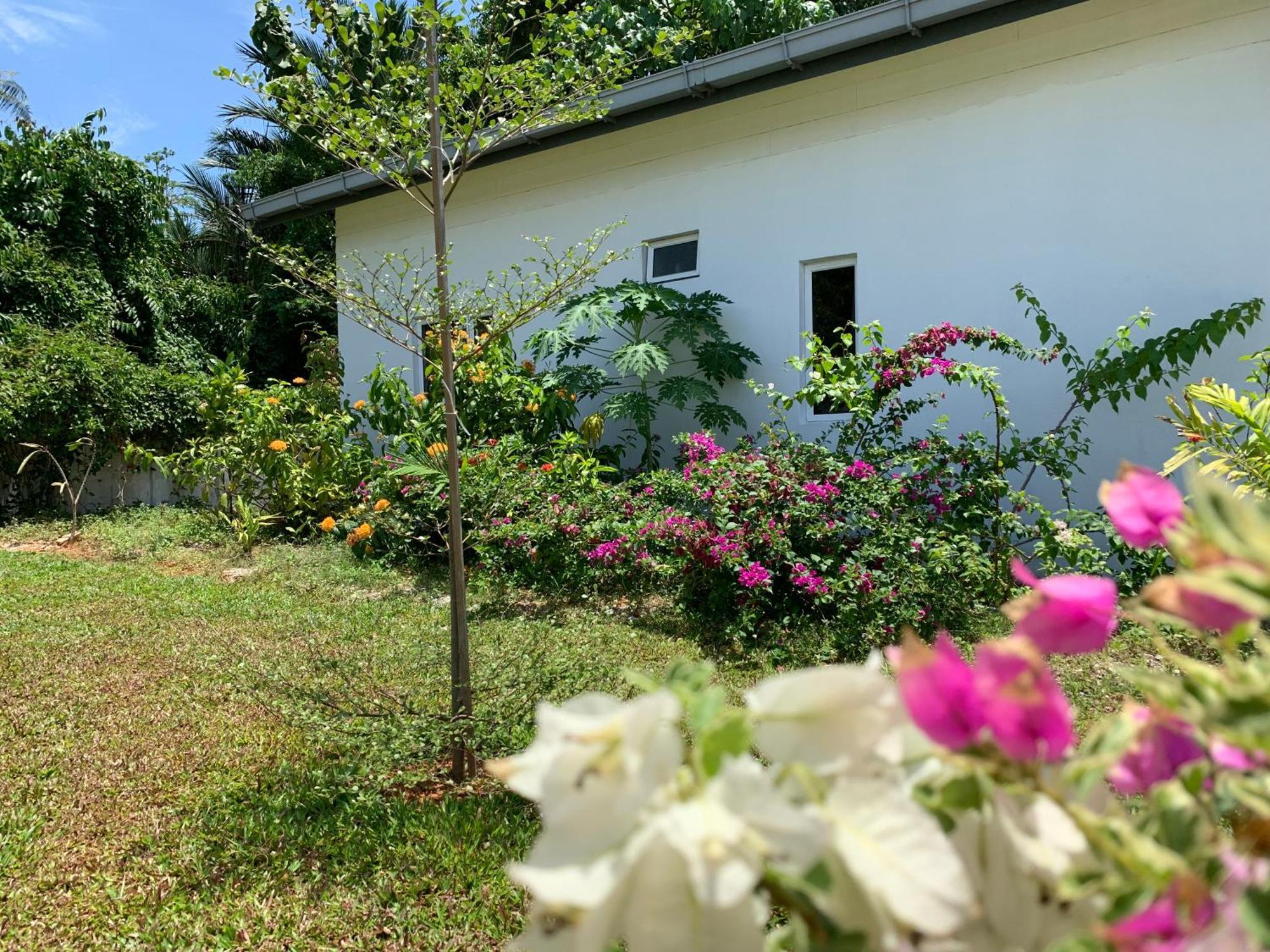 Cloud9 Holiday Cottages بانتايْ تْشينانغ المظهر الخارجي الصورة